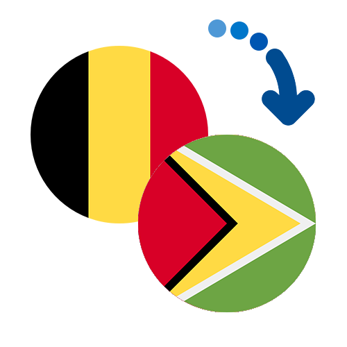 ¿Cómo mandar dinero de Bélgica a Guyana?