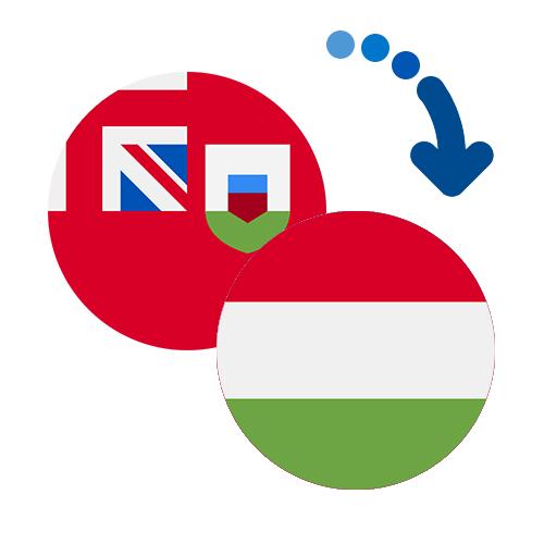Wie kann man online Geld von Bermuda nach Ungarn senden?