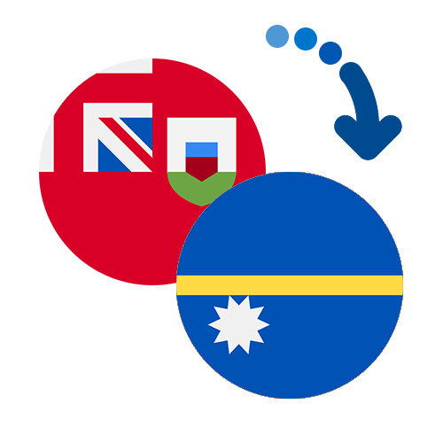 Как перевести деньги из Бермудских Островов в Науру