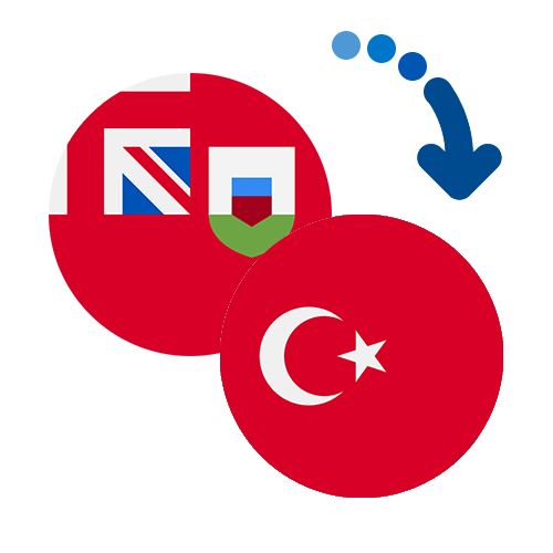 Wie kann man online Geld von Bermuda in die Türkei senden?