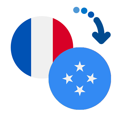 How to send money from France to Micronesia