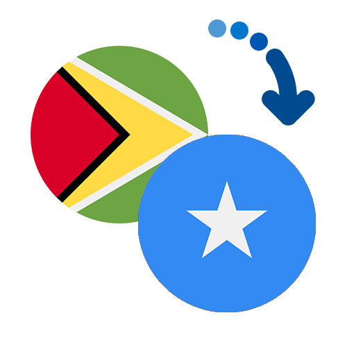 Wie kann man online Geld von Guyana nach Somalia senden?