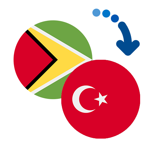 How to send money from Guyana to Turkey