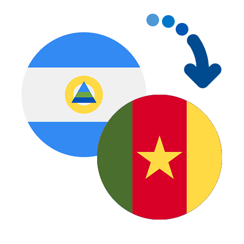 Wie kann man online Geld von Nicaragua nach Kamerun senden?