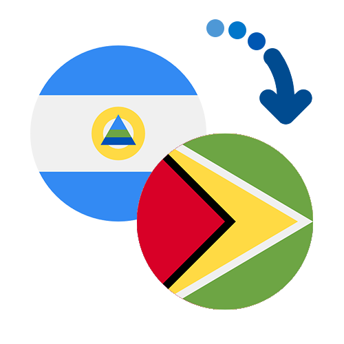 ¿Cómo mandar dinero de Nicaragua a Guyana?