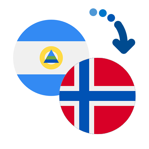 Wie kann man online Geld von Nicaragua nach Norwegen senden?