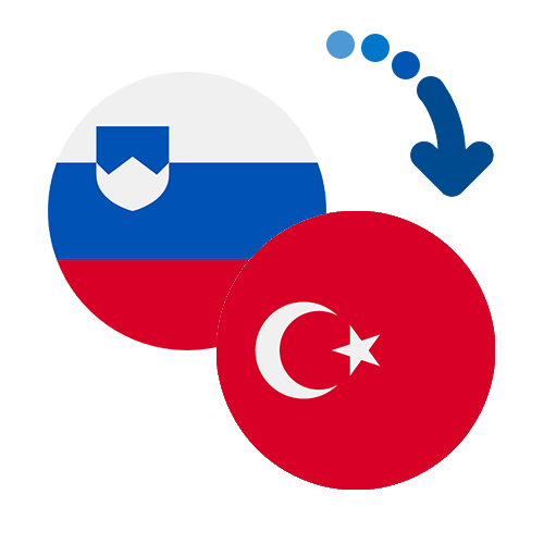 Wie kann man online Geld von Slowenien in die Türkei senden?