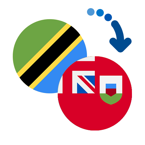 Wie kann man online Geld von Tansania nach Bermuda senden?